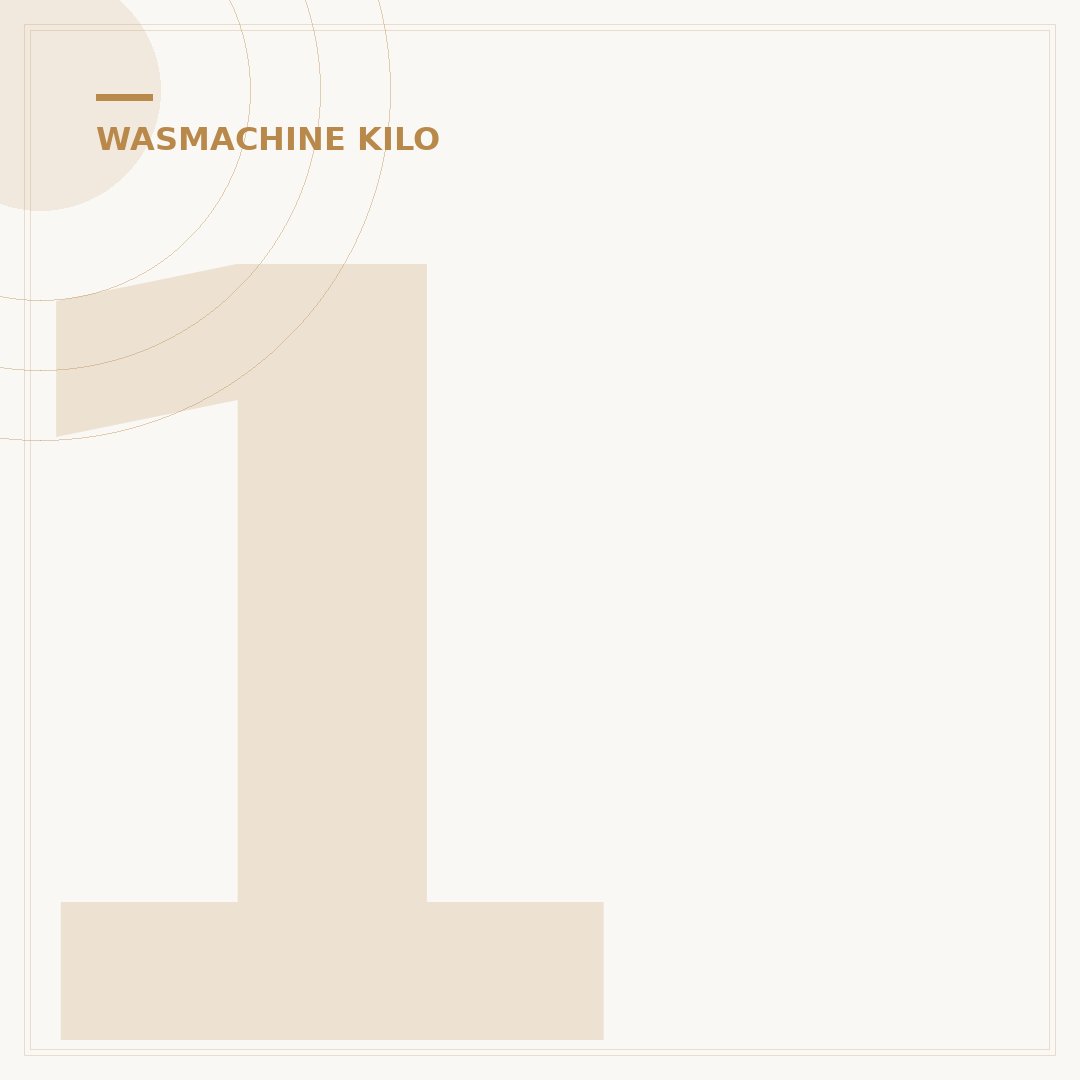 10 Kilo Wasmachine: Uw Beste Keuze voor Elke Ruimte