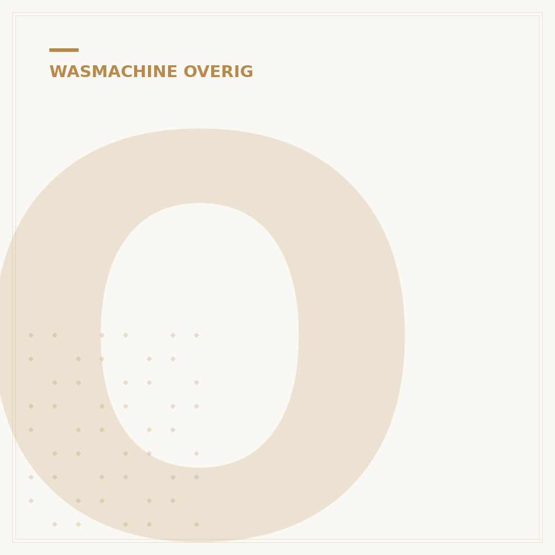Openbare Wasmachine: Gebruik & Installatie Gids 2024