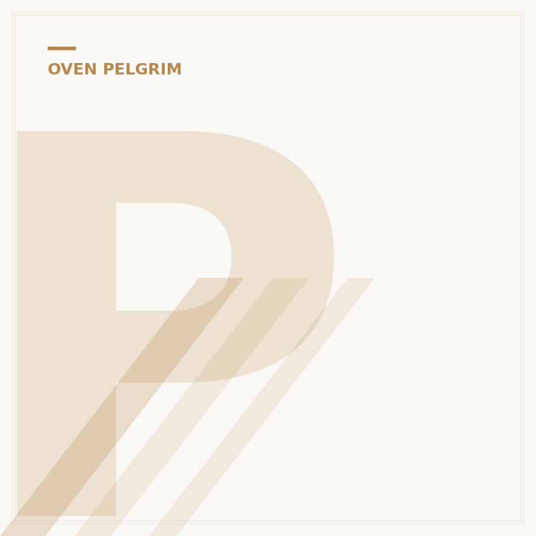Pelgrim B600 Oven: 5 Installatie-eisen & Tips