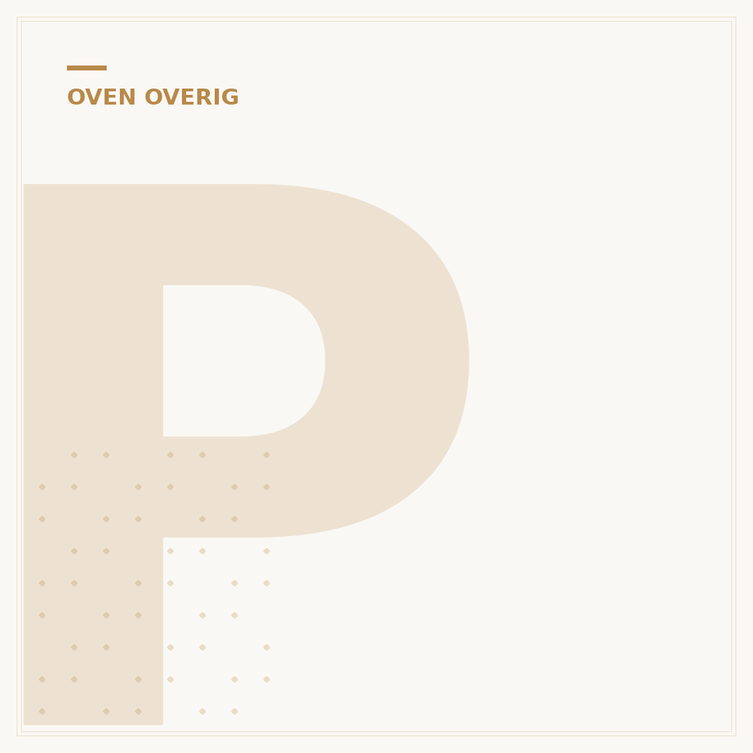 Princess Oven: De Beste Keuze Voor Uw Keuken Vandaag