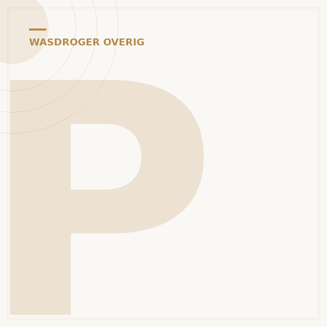Professionele Wasdroger: 3 Cruciale Locatiekeuzes voor Succes