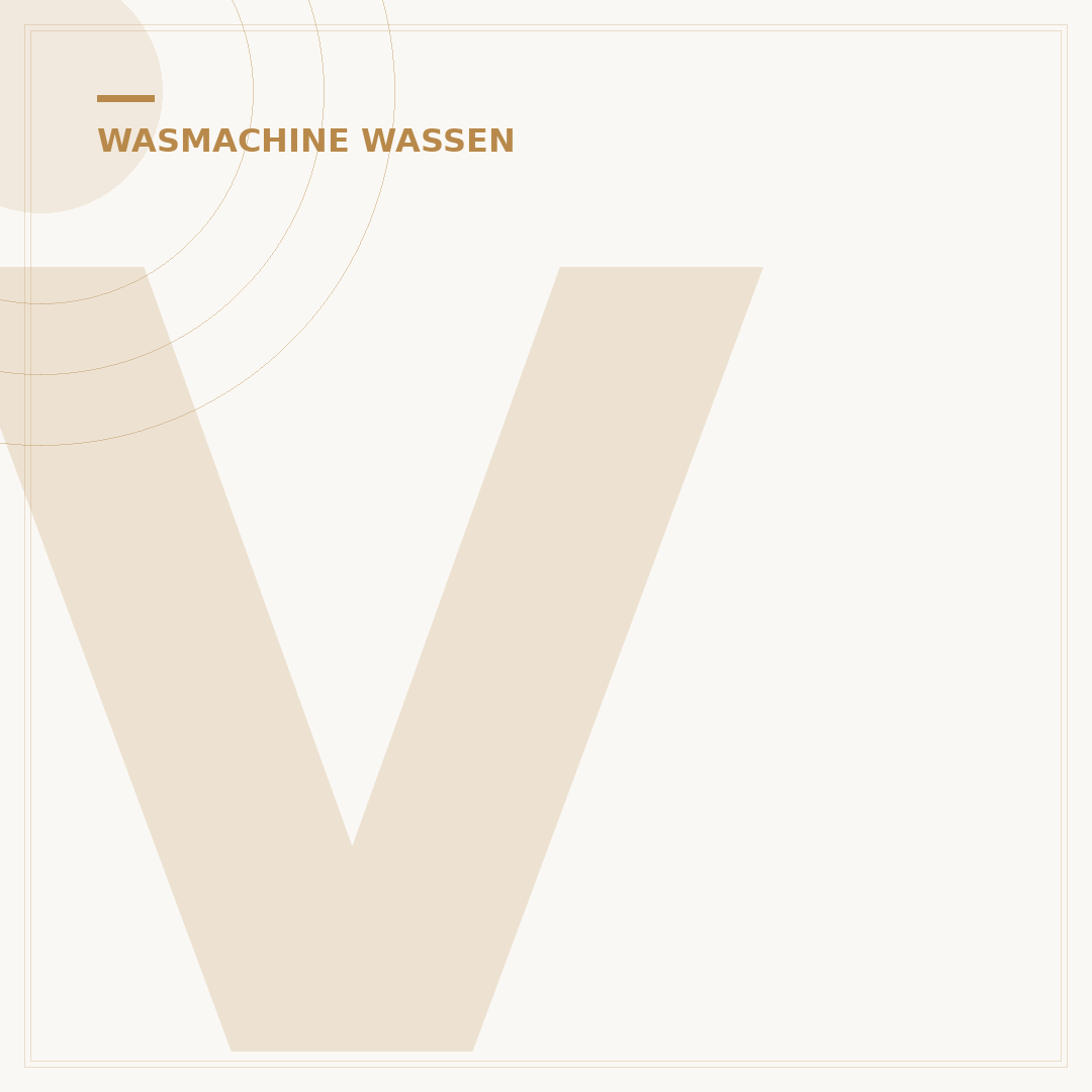 Veren kussen wassen wasmachine: 3 Slimme Stappen