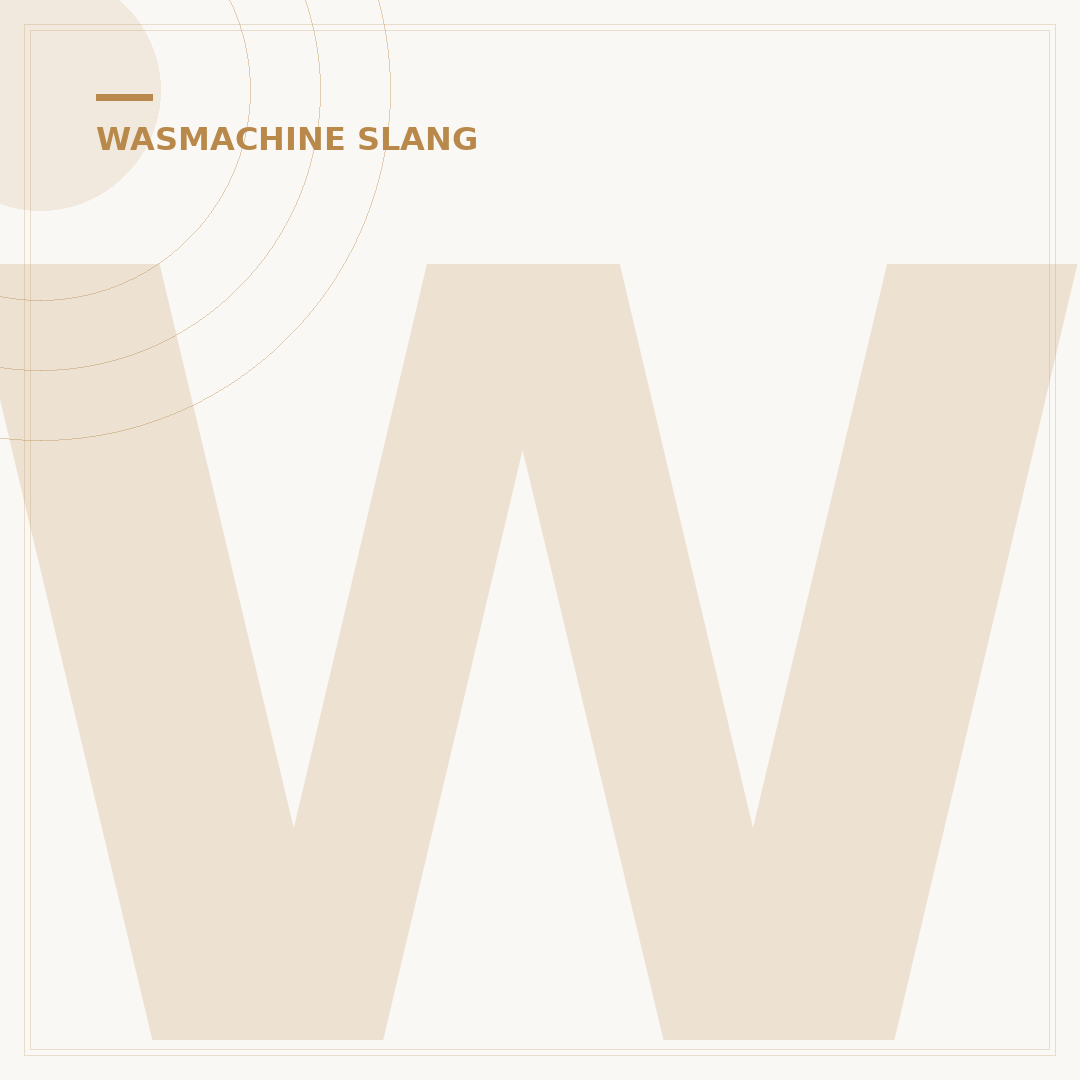 Wasmachine Slang: 5 Essentiële Plaatsingsregels voor Elke Ruimte