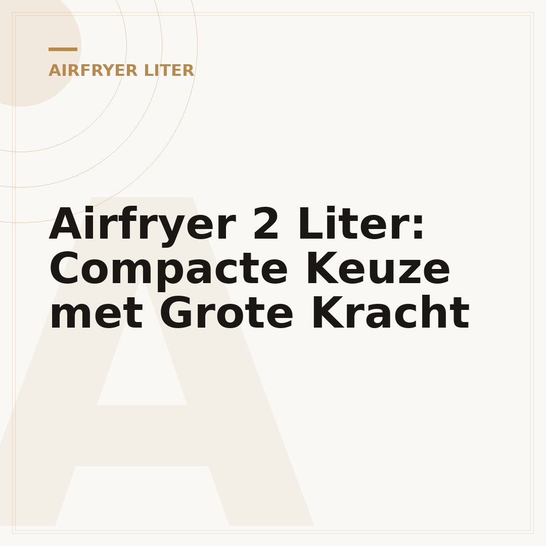 Airfryer 2 Liter: Compacte Keuze met Grote Kracht