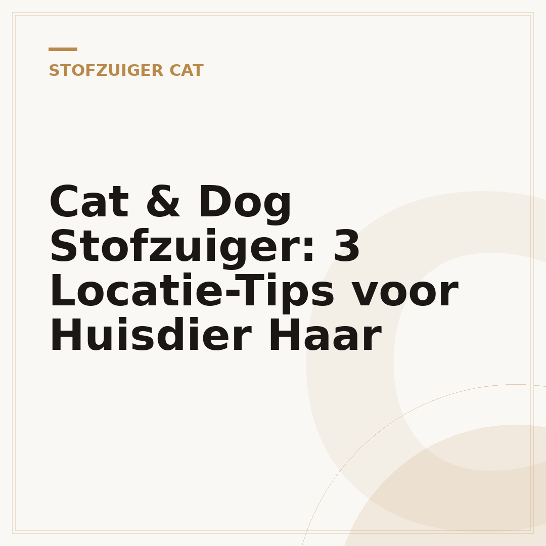 Cat & Dog Stofzuiger: 3 Locatie-Tips voor Huisdier Haar