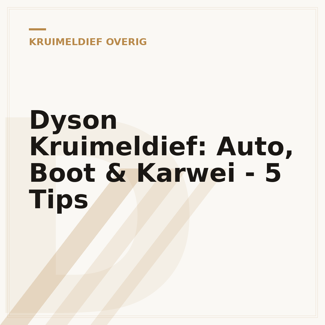 Dyson Kruimeldief: Auto, Boot & Karwei - 5 Tips