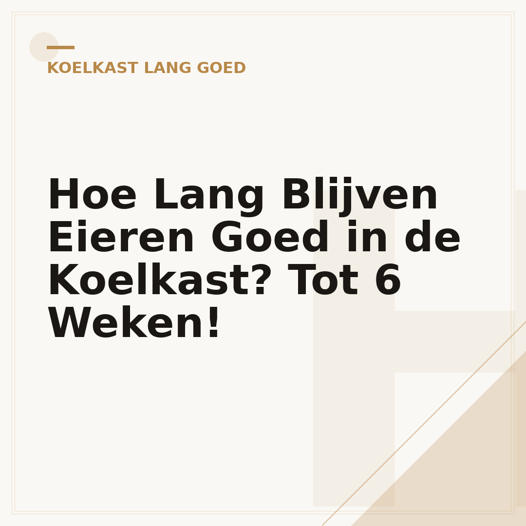 Hoe Lang Blijven Eieren Goed in de Koelkast? Tot 6 Weken!