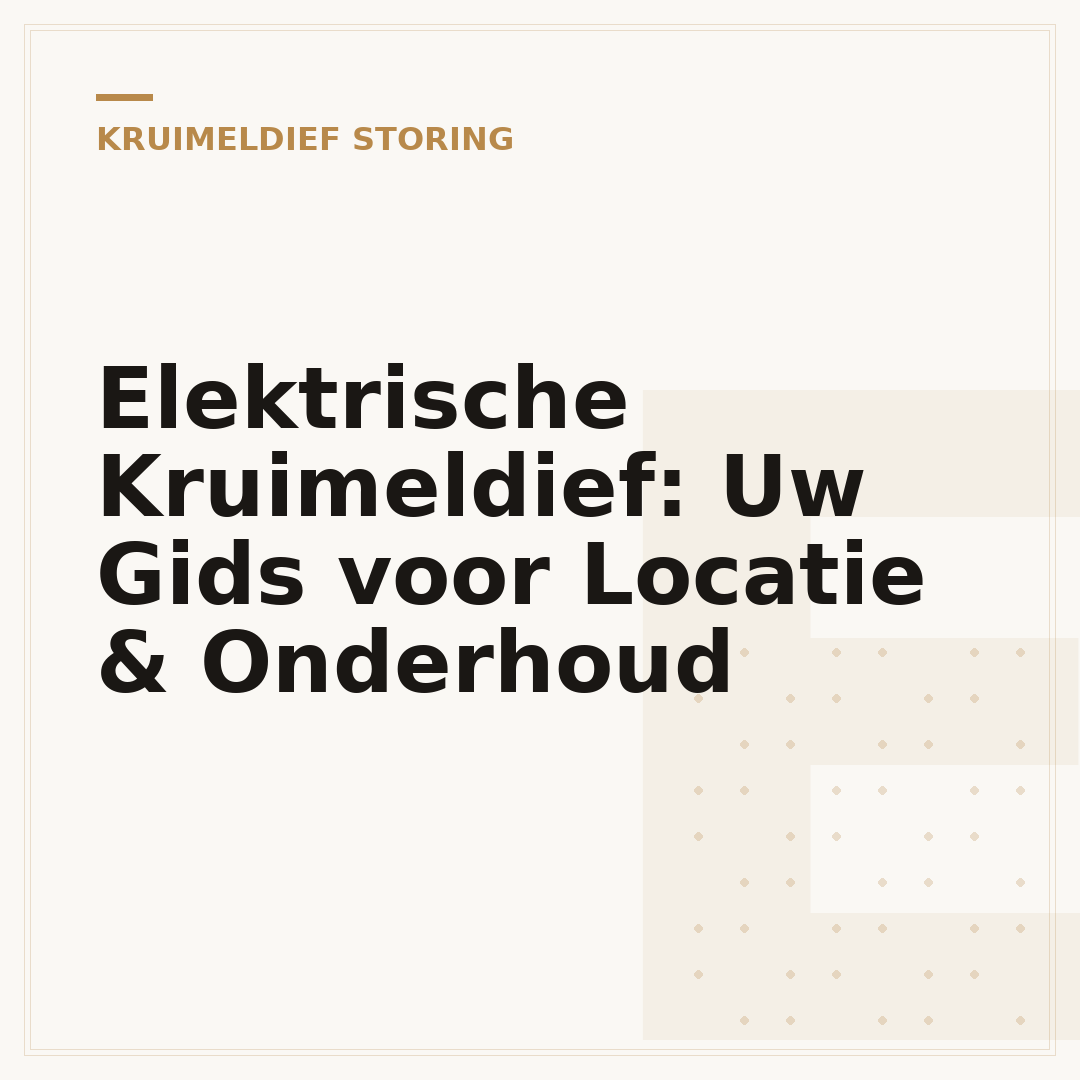 Elektrische Kruimeldief: Uw Gids voor Locatie & Onderhoud