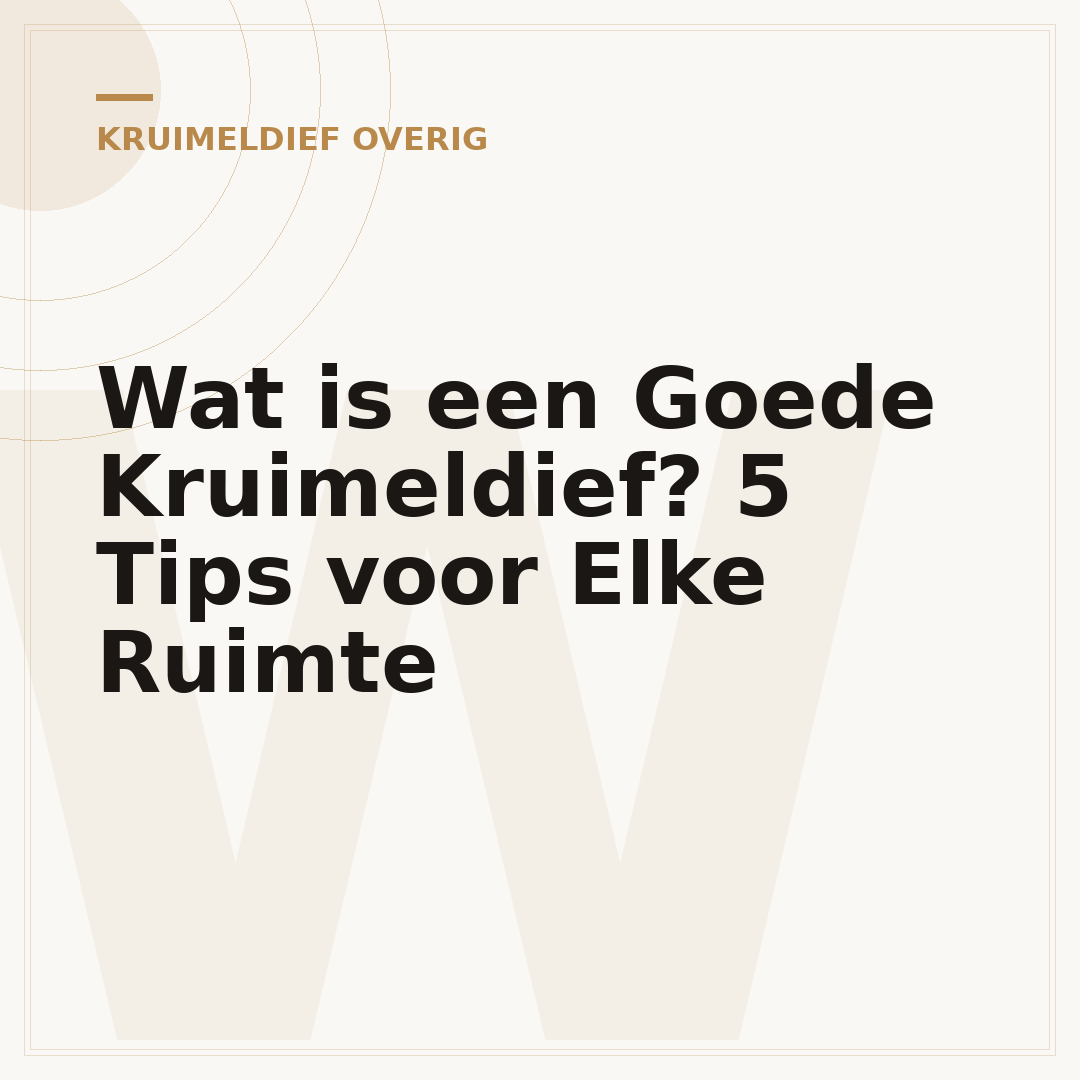 Wat is een Goede Kruimeldief? 5 Tips voor Elke Ruimte