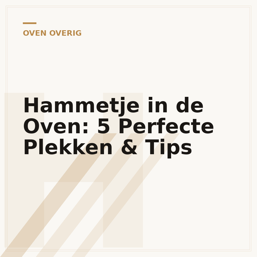 Hammetje in de Oven: 5 Perfecte Plekken & Tips