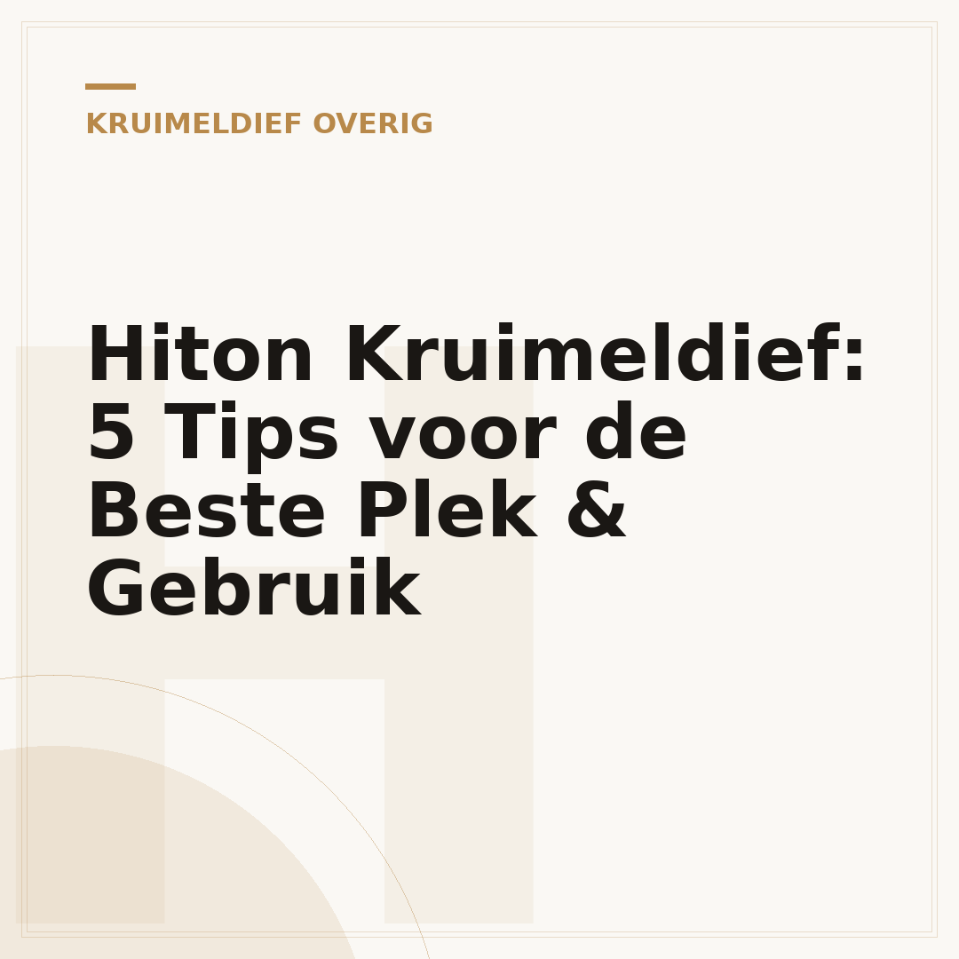 Hiton Kruimeldief: 5 Tips voor de Beste Plek & Gebruik