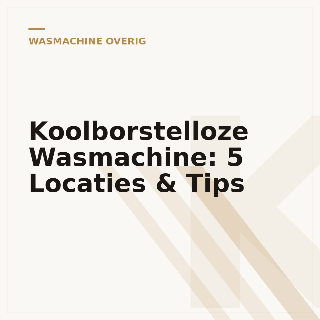 Koolborstelloze Wasmachine: 5 Locaties & Tips