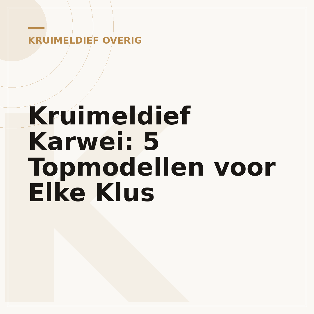 Kruimeldief Karwei: 5 Topmodellen voor Elke Klus