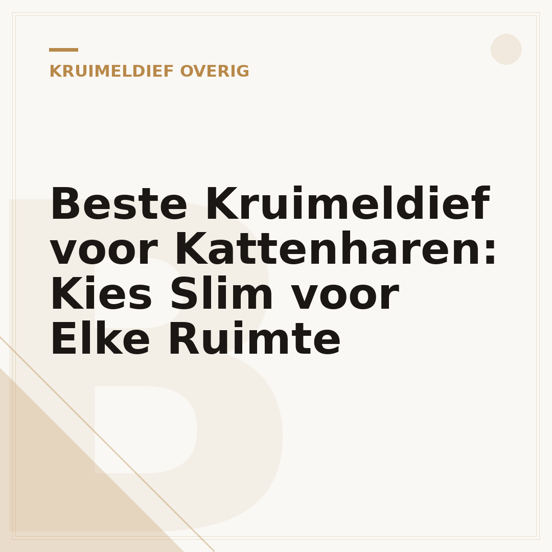 Beste Kruimeldief voor Kattenharen: Kies Slim voor Elke Ruimte