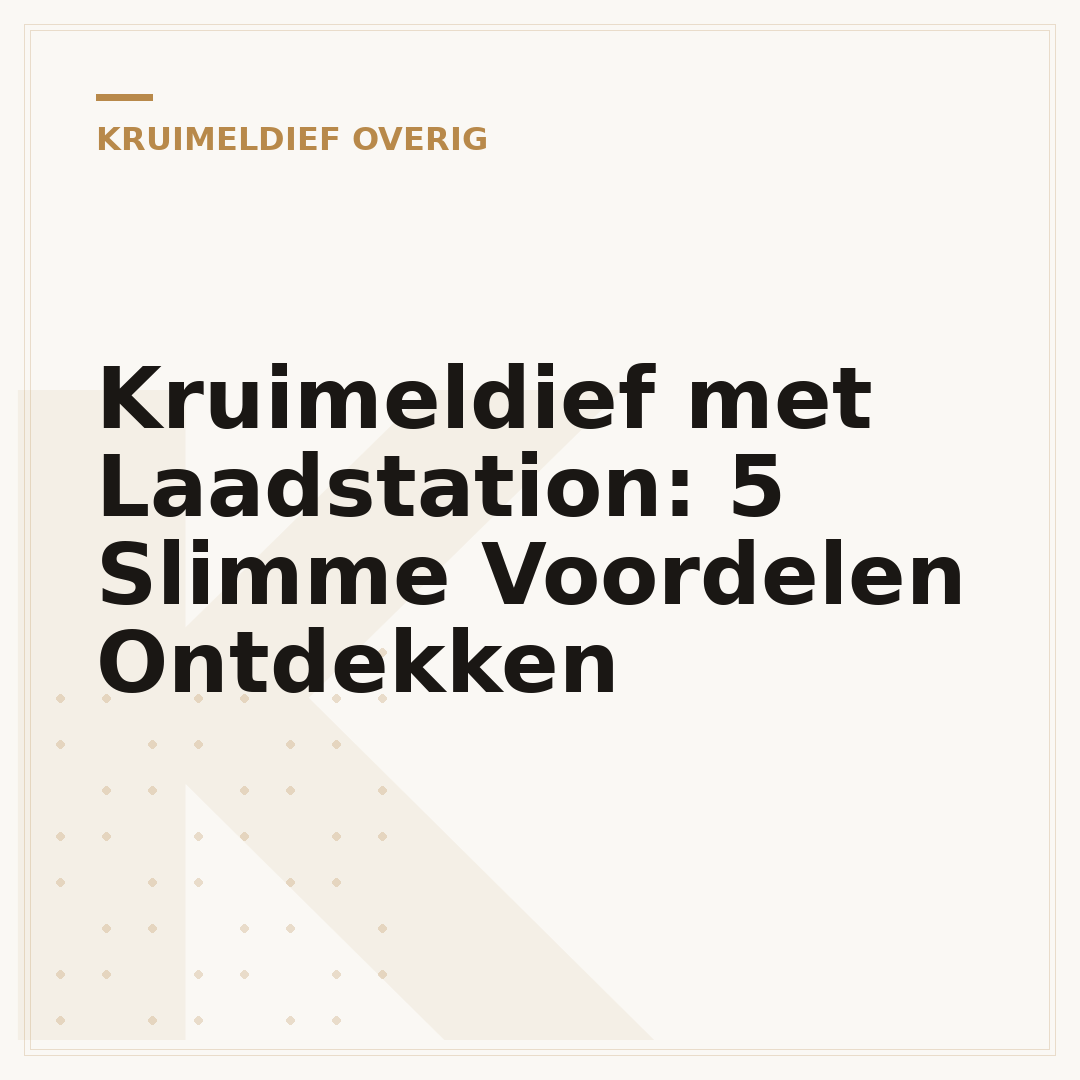 Kruimeldief met Laadstation: 5 Slimme Voordelen Ontdekken