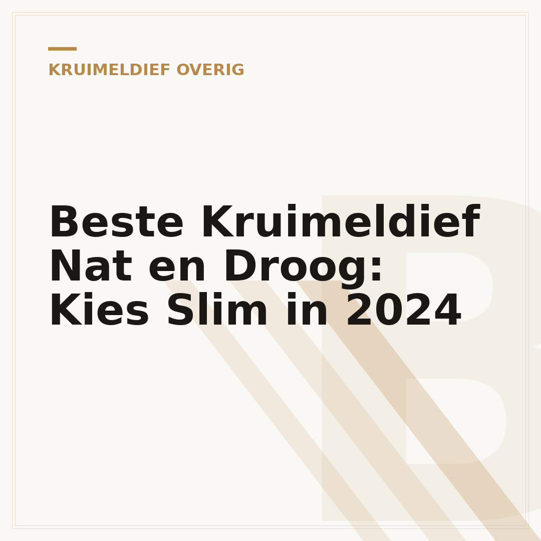 Beste Kruimeldief Nat en Droog: Kies Slim in 2024