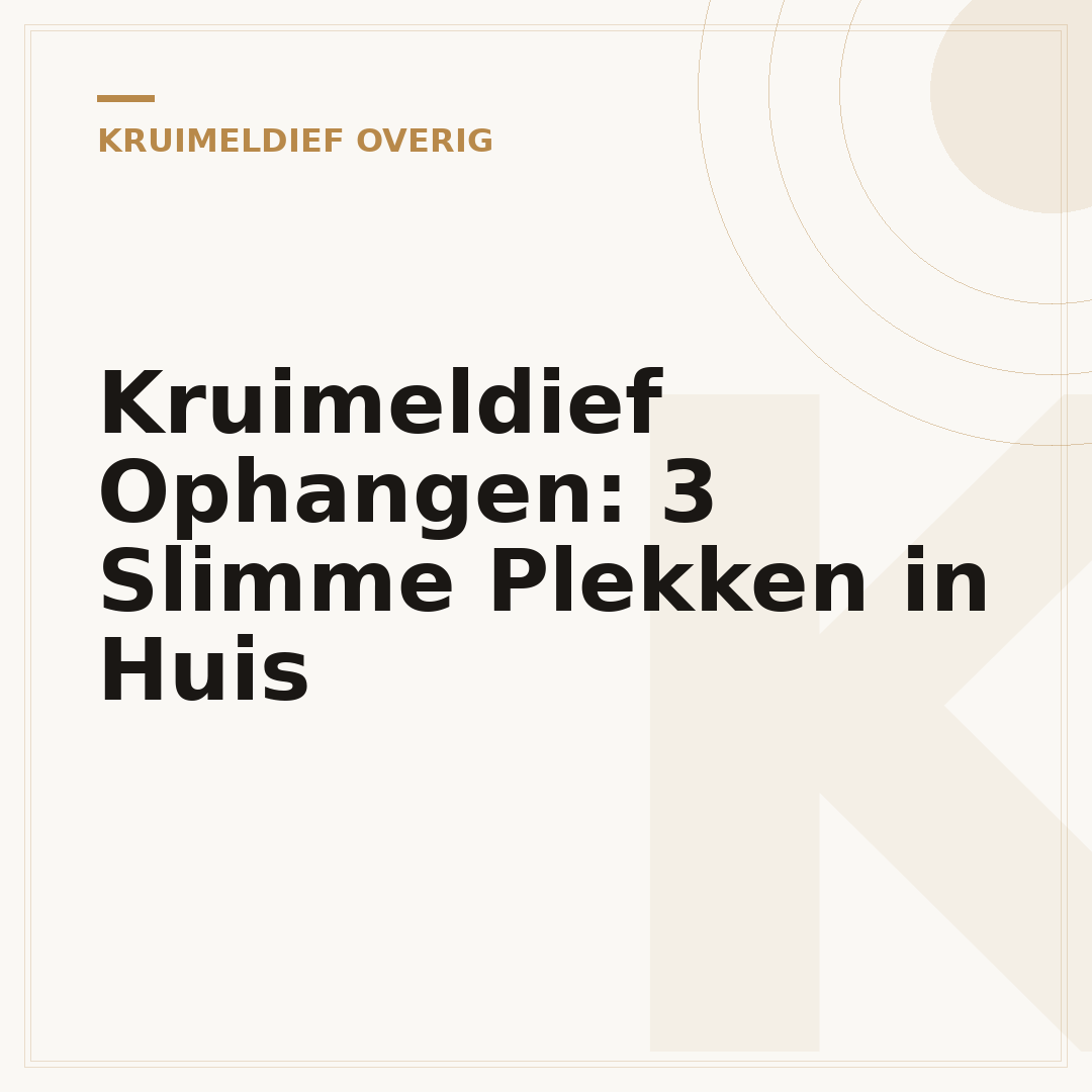 Kruimeldief Ophangen: 3 Slimme Plekken in Huis