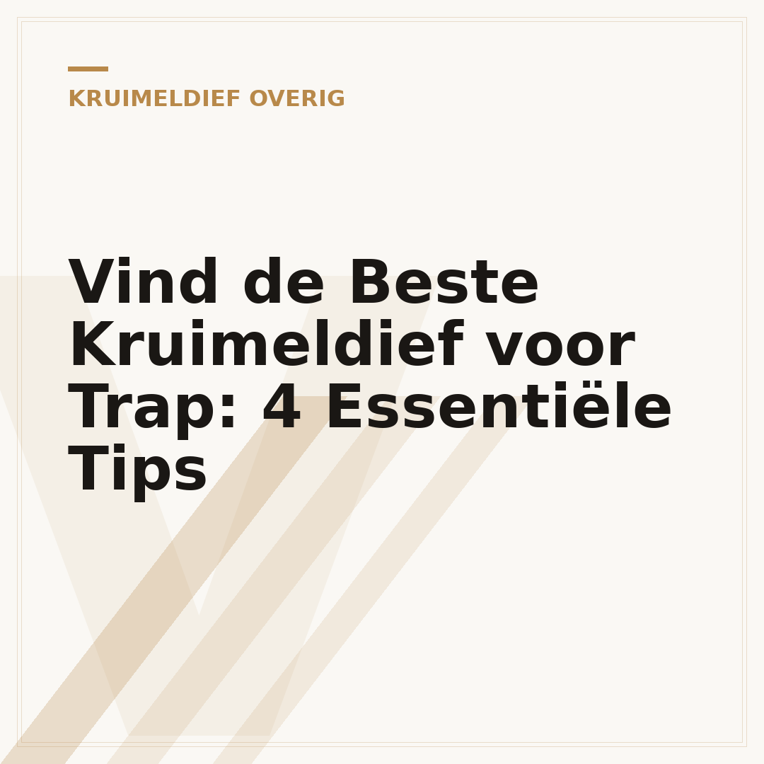 Vind de Beste Kruimeldief voor Trap: 4 Essentiële Tips