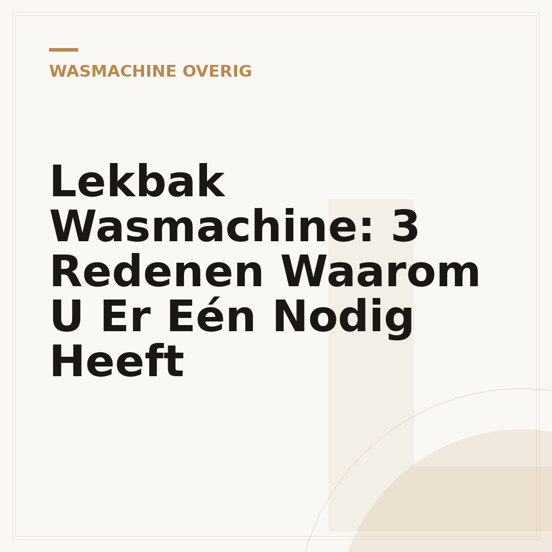 Lekbak Wasmachine: 3 Redenen Waarom U Er Eén Nodig Heeft