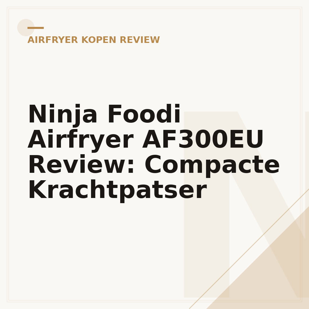 Ninja Foodi Airfryer AF300EU Review: Compacte Krachtpatser