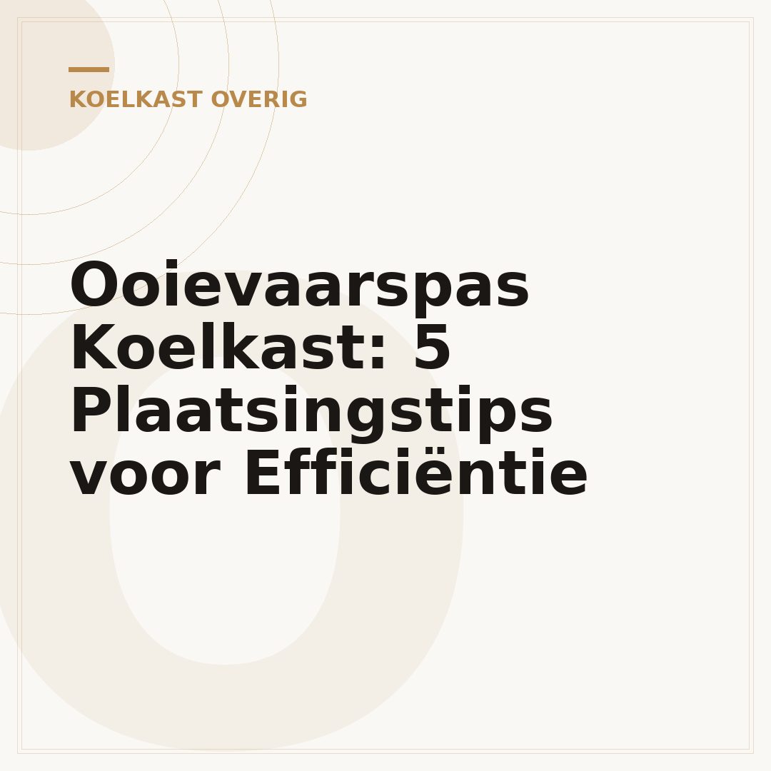 Ooievaarspas Koelkast: 5 Plaatsingstips voor Efficiëntie