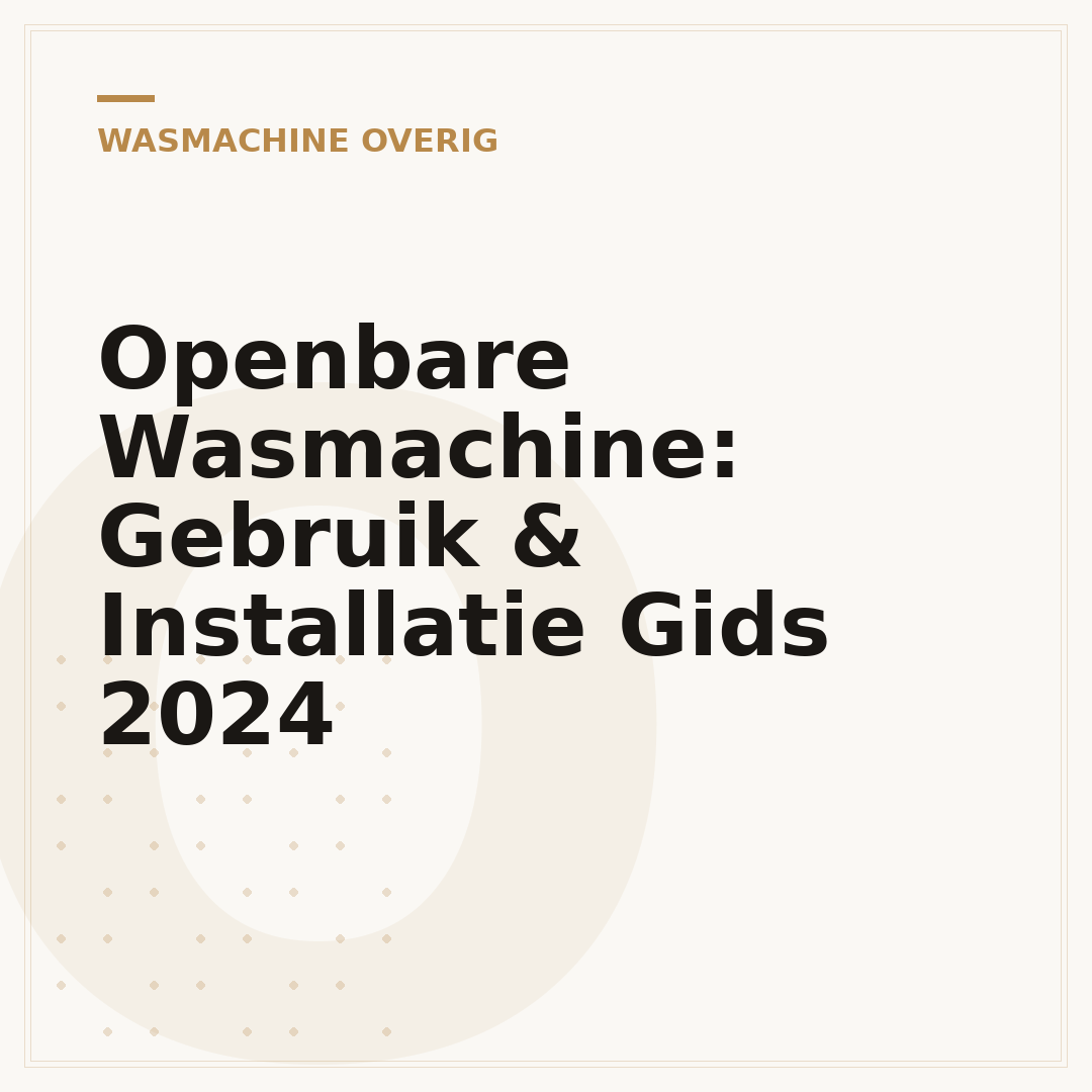 Openbare Wasmachine: Gebruik & Installatie Gids 2024