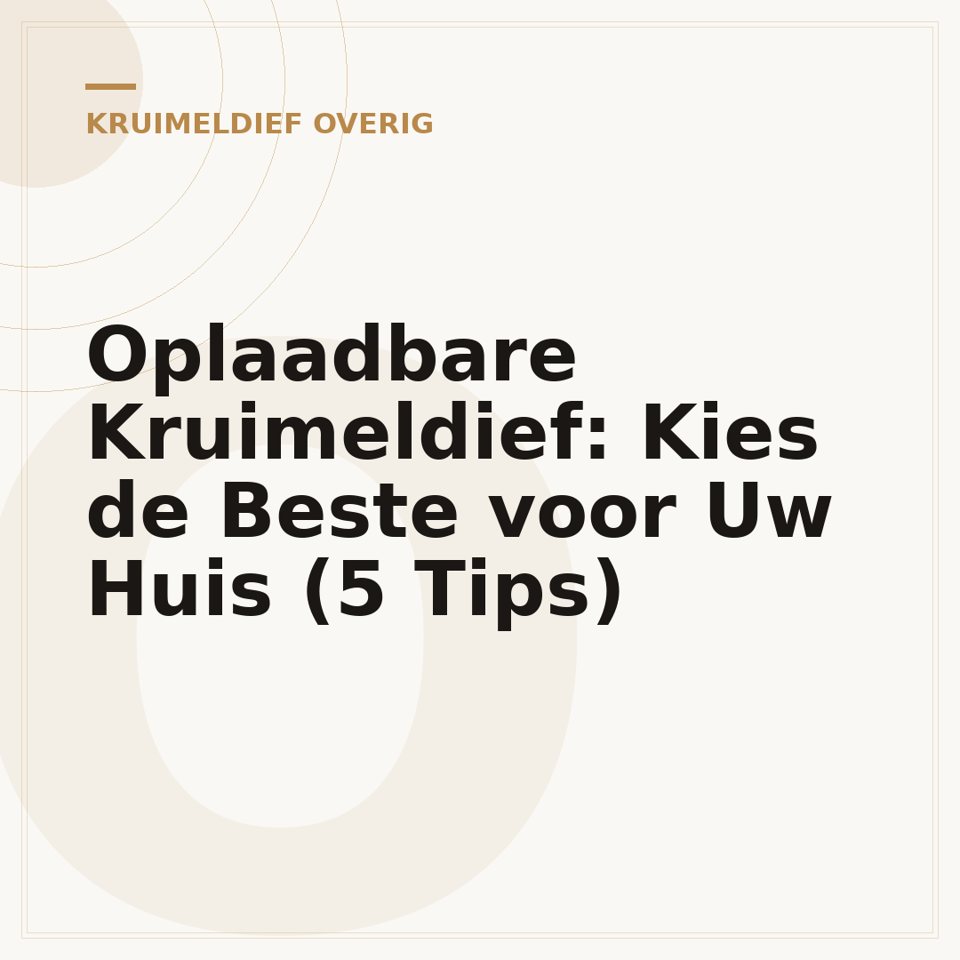 Oplaadbare Kruimeldief: Kies de Beste voor Uw Huis (5 Tips)