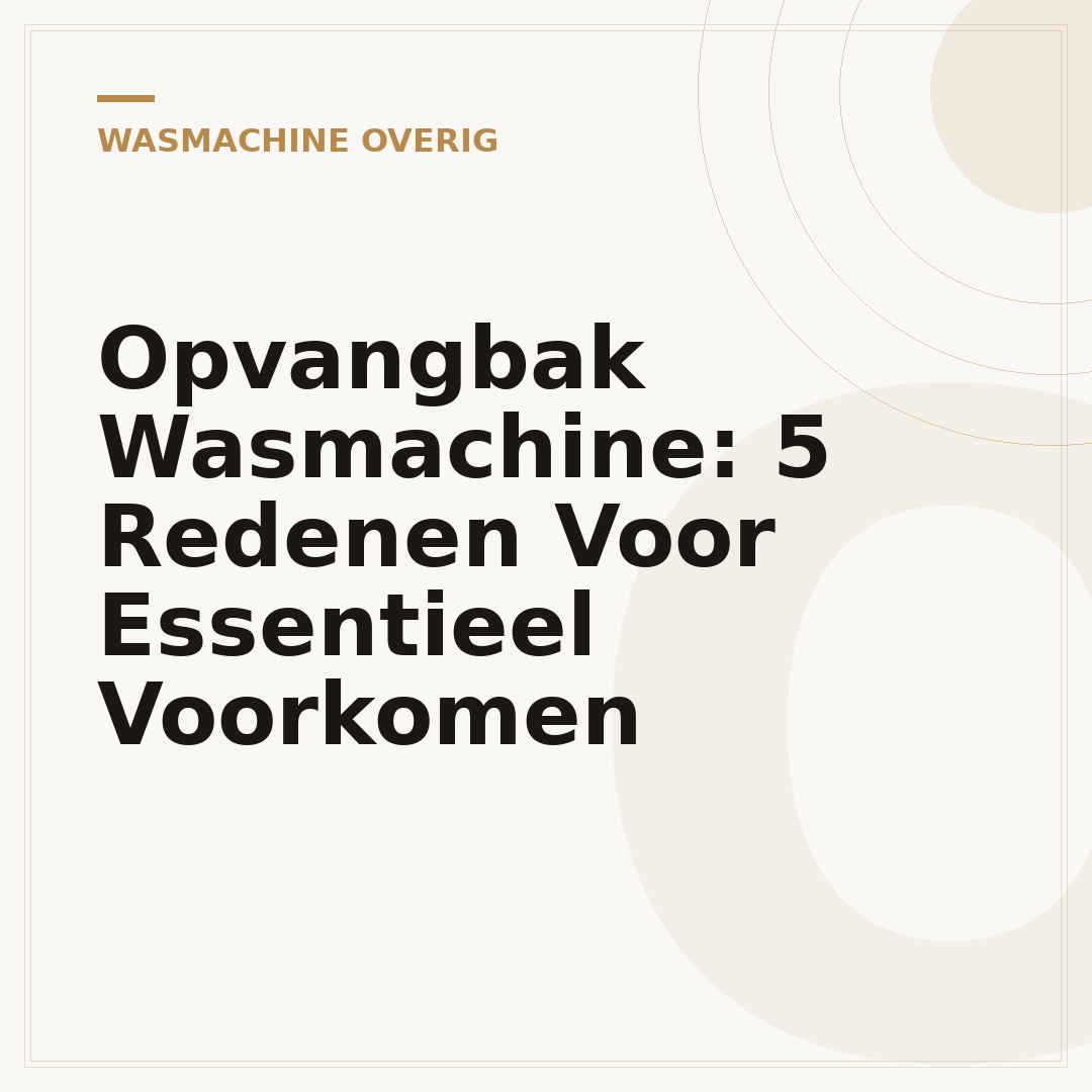 Opvangbak Wasmachine: 5 Redenen Voor Essentieel Voorkomen