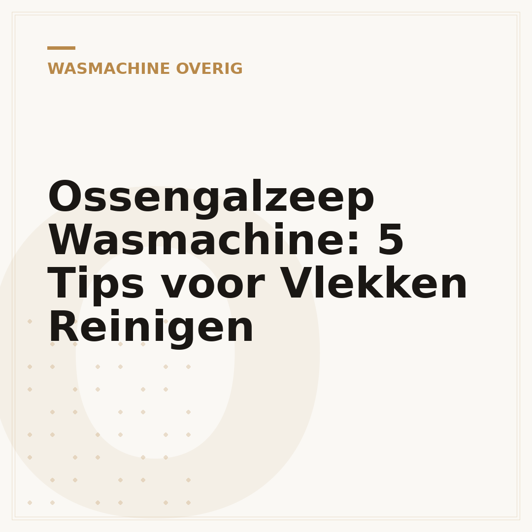 Ossengalzeep Wasmachine: 5 Tips voor Vlekken Reinigen