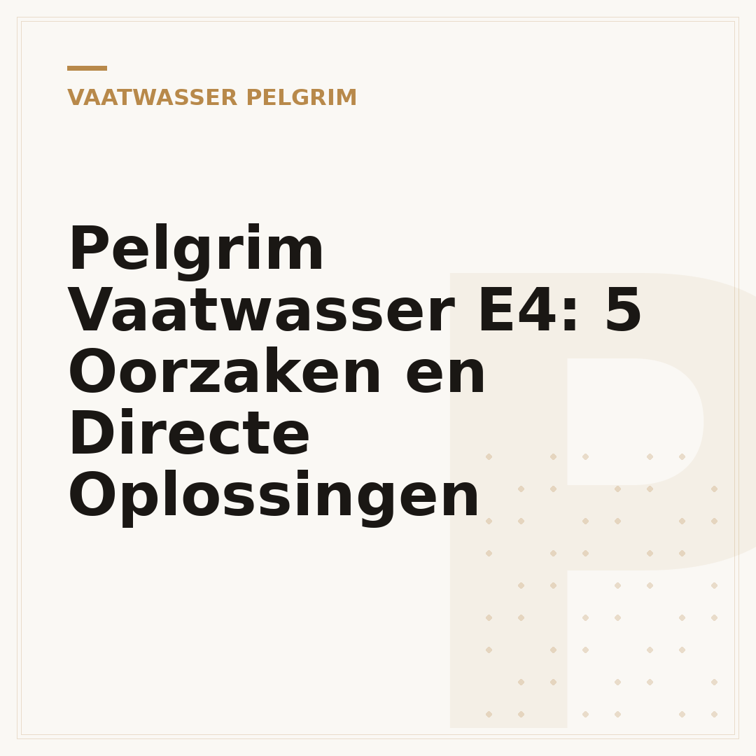 Pelgrim Vaatwasser E4: 5 Oorzaken en Directe Oplossingen