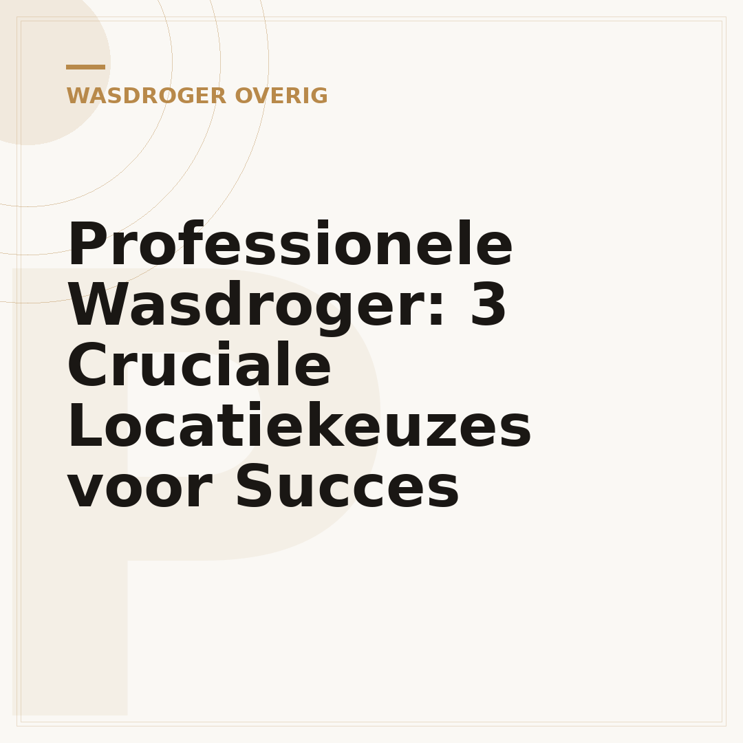 Professionele Wasdroger: 3 Cruciale Locatiekeuzes voor Succes