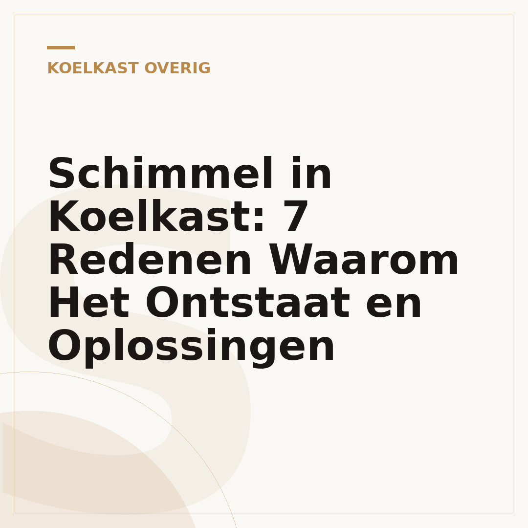 Schimmel in Koelkast: 7 Redenen Waarom Het Ontstaat en Oplossingen
