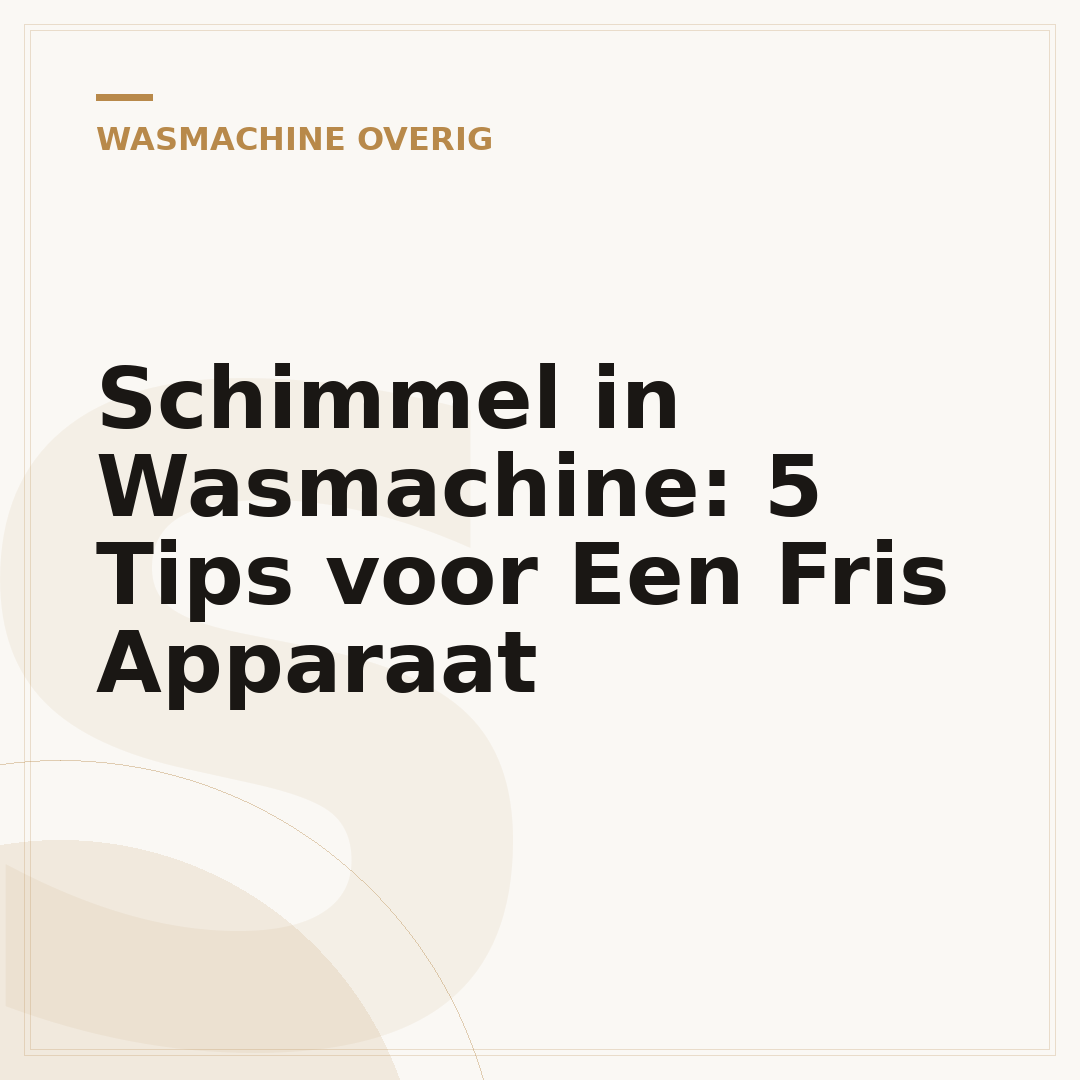 Schimmel in Wasmachine: 5 Tips voor Een Fris Apparaat