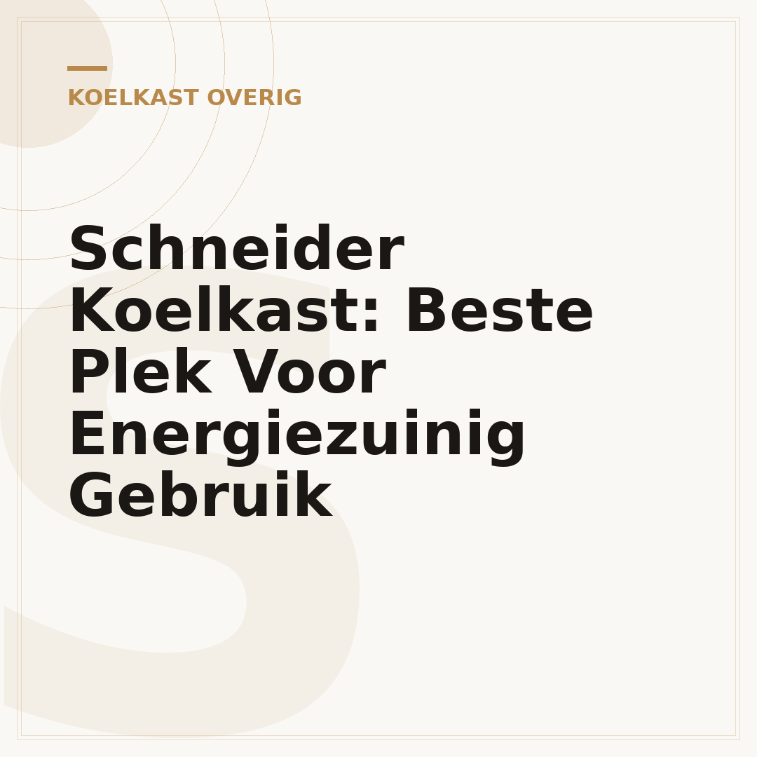 Schneider Koelkast: Beste Plek Voor Energiezuinig Gebruik