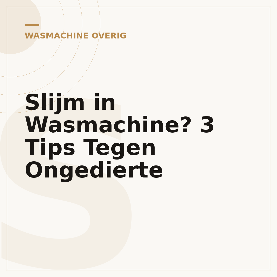 Slijm in Wasmachine? 3 Tips Tegen Ongedierte