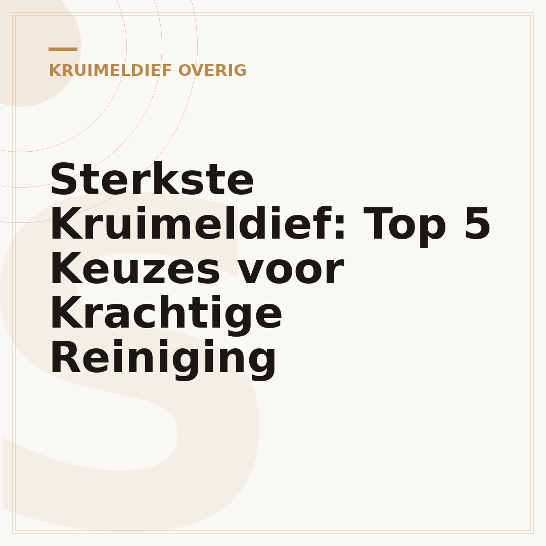 Sterkste Kruimeldief: Top 5 Keuzes voor Krachtige Reiniging
