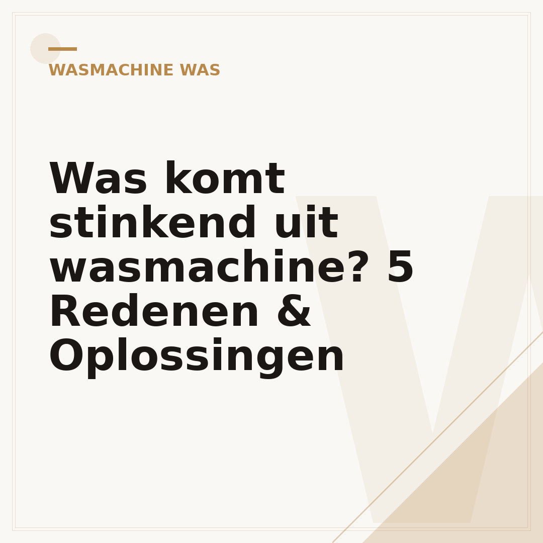Was komt stinkend uit wasmachine? 5 Redenen & Oplossingen