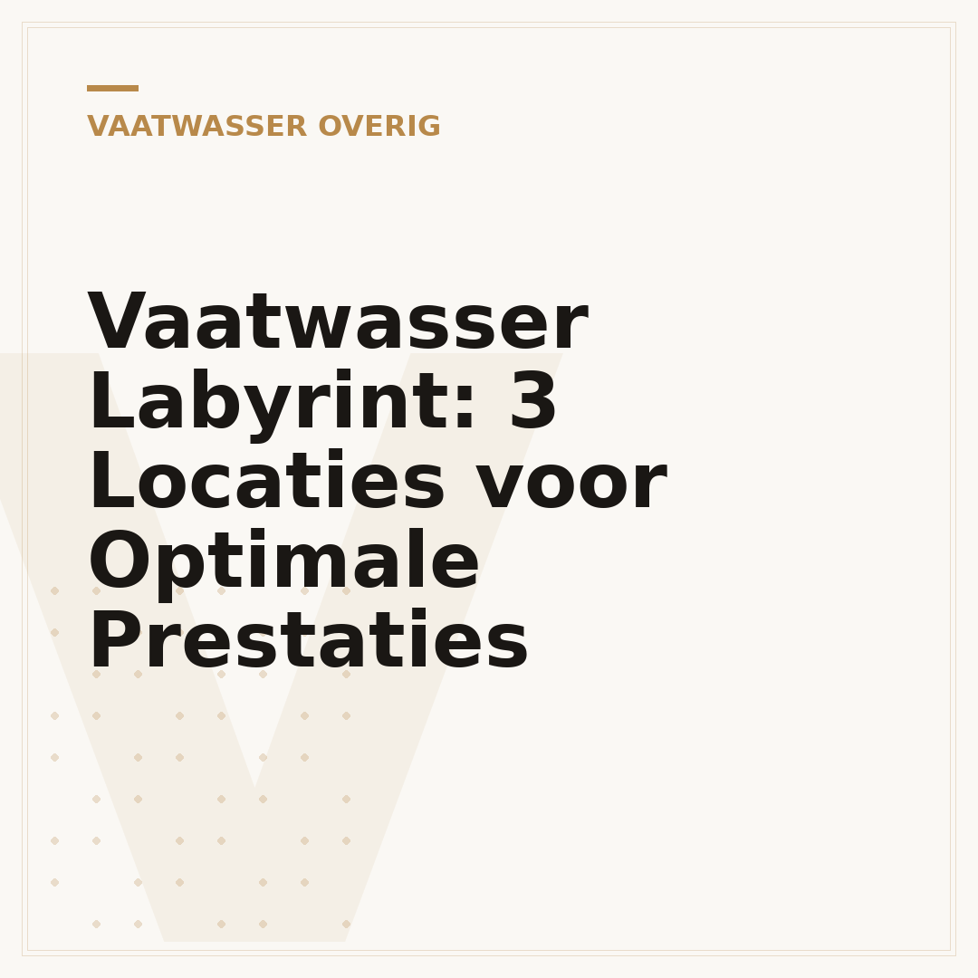 Vaatwasser Labyrint: 3 Locaties voor Optimale Prestaties