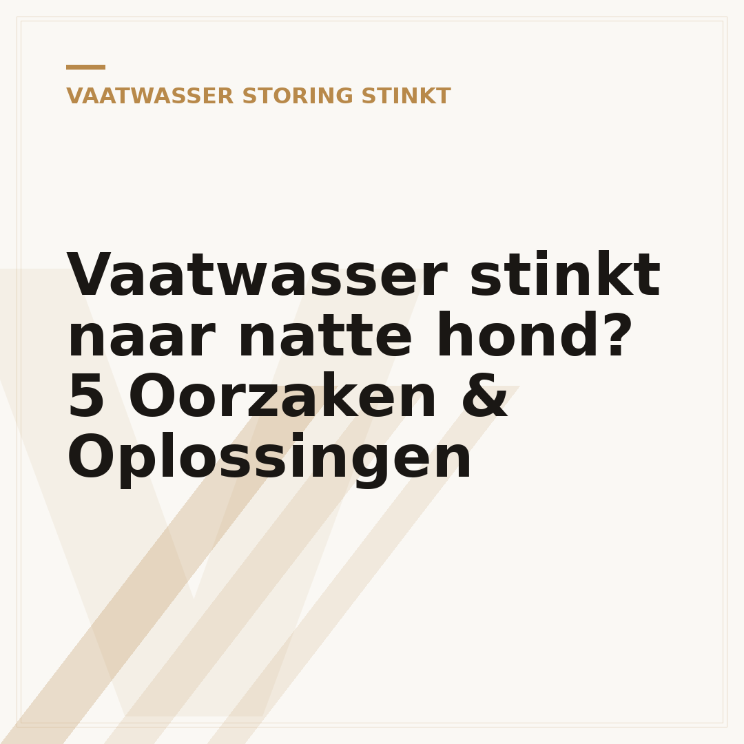 Vaatwasser stinkt naar natte hond? 5 Oorzaken & Oplossingen