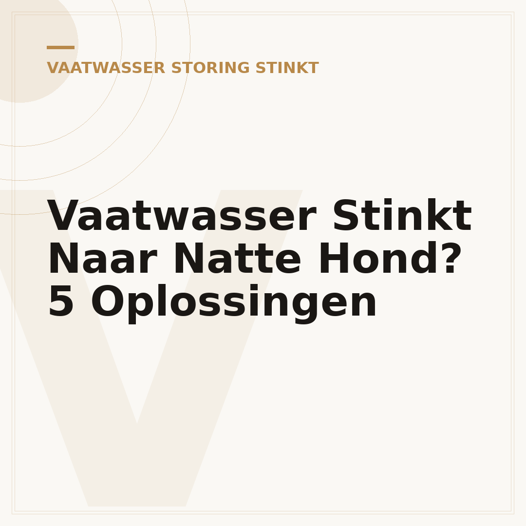 Vaatwasser Stinkt Naar Natte Hond? 5 Oplossingen