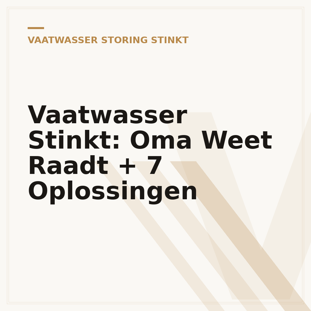 Vaatwasser Stinkt: Oma Weet Raadt + 7 Oplossingen
