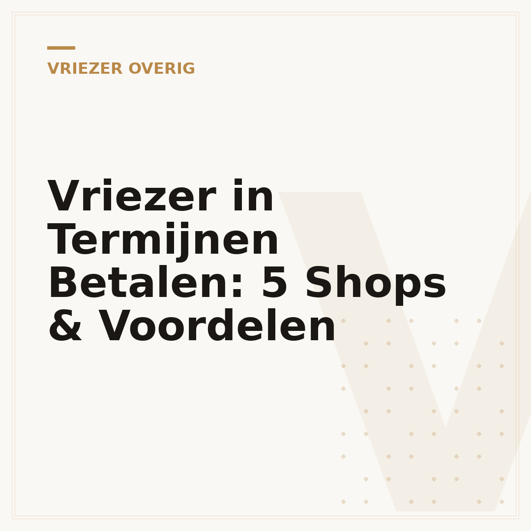 Vriezer in Termijnen Betalen: 5 Shops & Voordelen