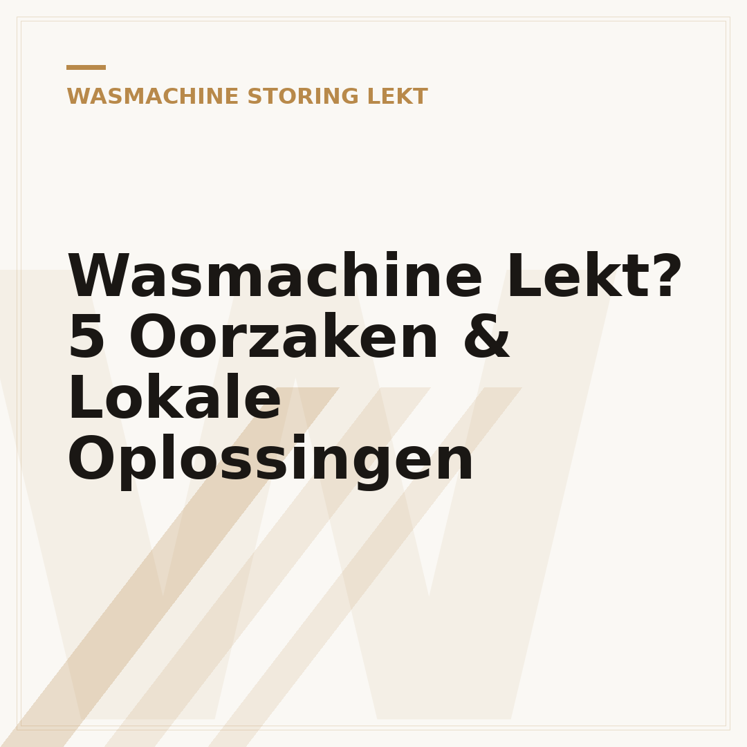 Wasmachine Lekt? 5 Oorzaken & Lokale Oplossingen