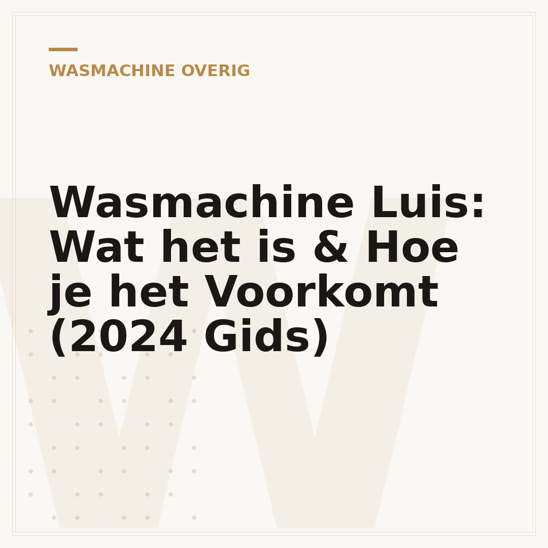 Wasmachine Luis: Wat het is & Hoe je het Voorkomt (2024 Gids)
