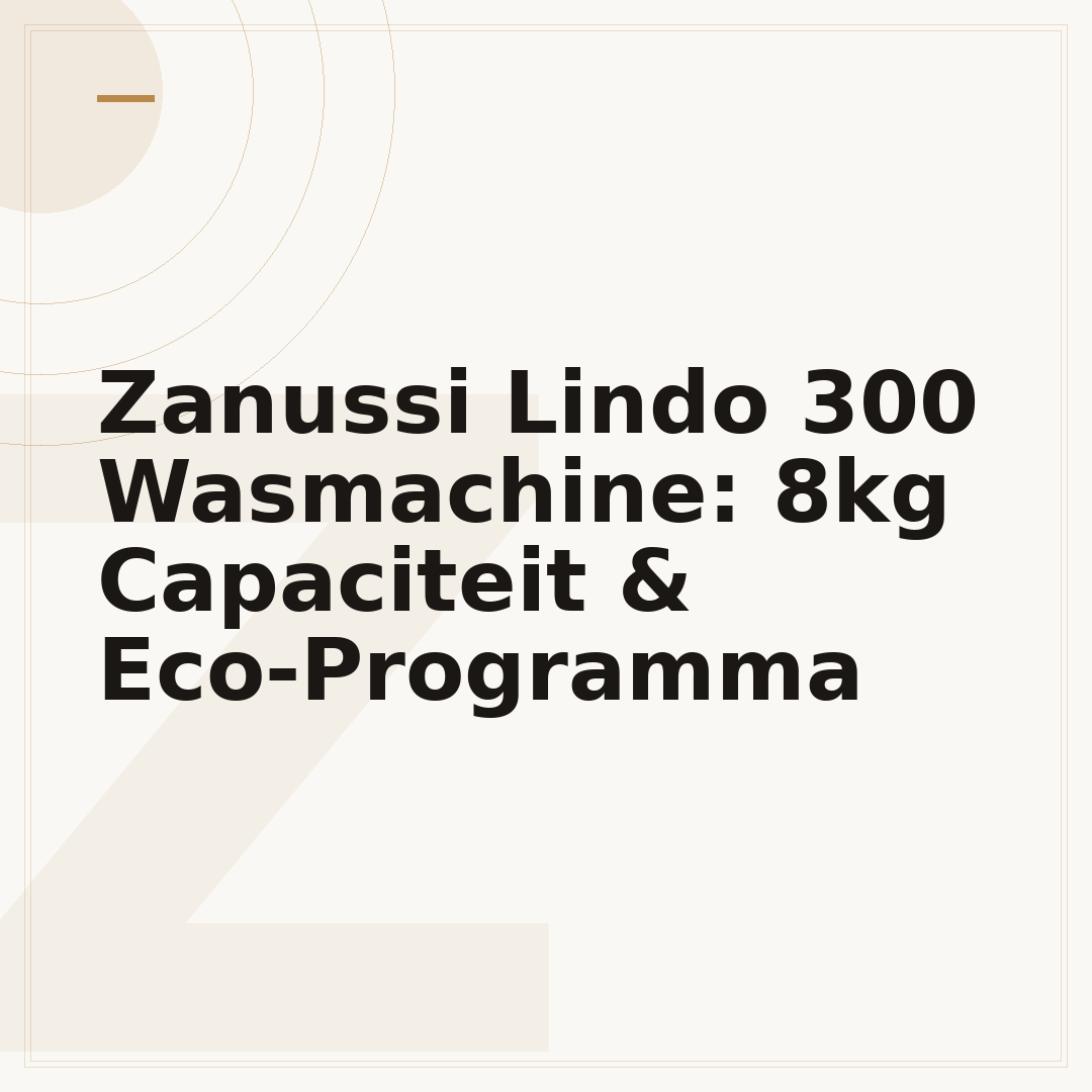 Zanussi Lindo 300 Wasmachine: 8kg Capaciteit & Eco-Programma