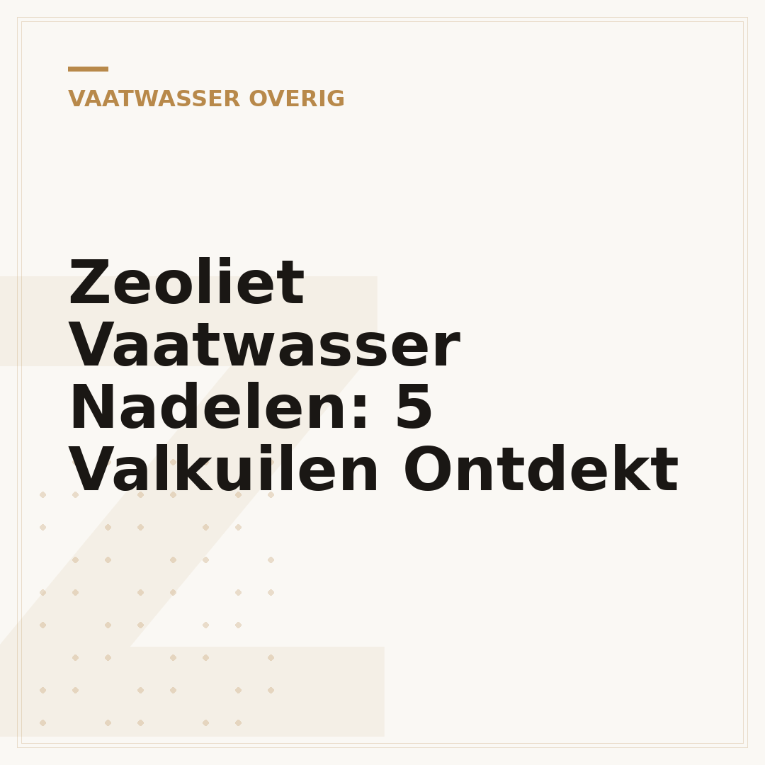 Zeoliet Vaatwasser Nadelen: 5 Valkuilen Ontdekt