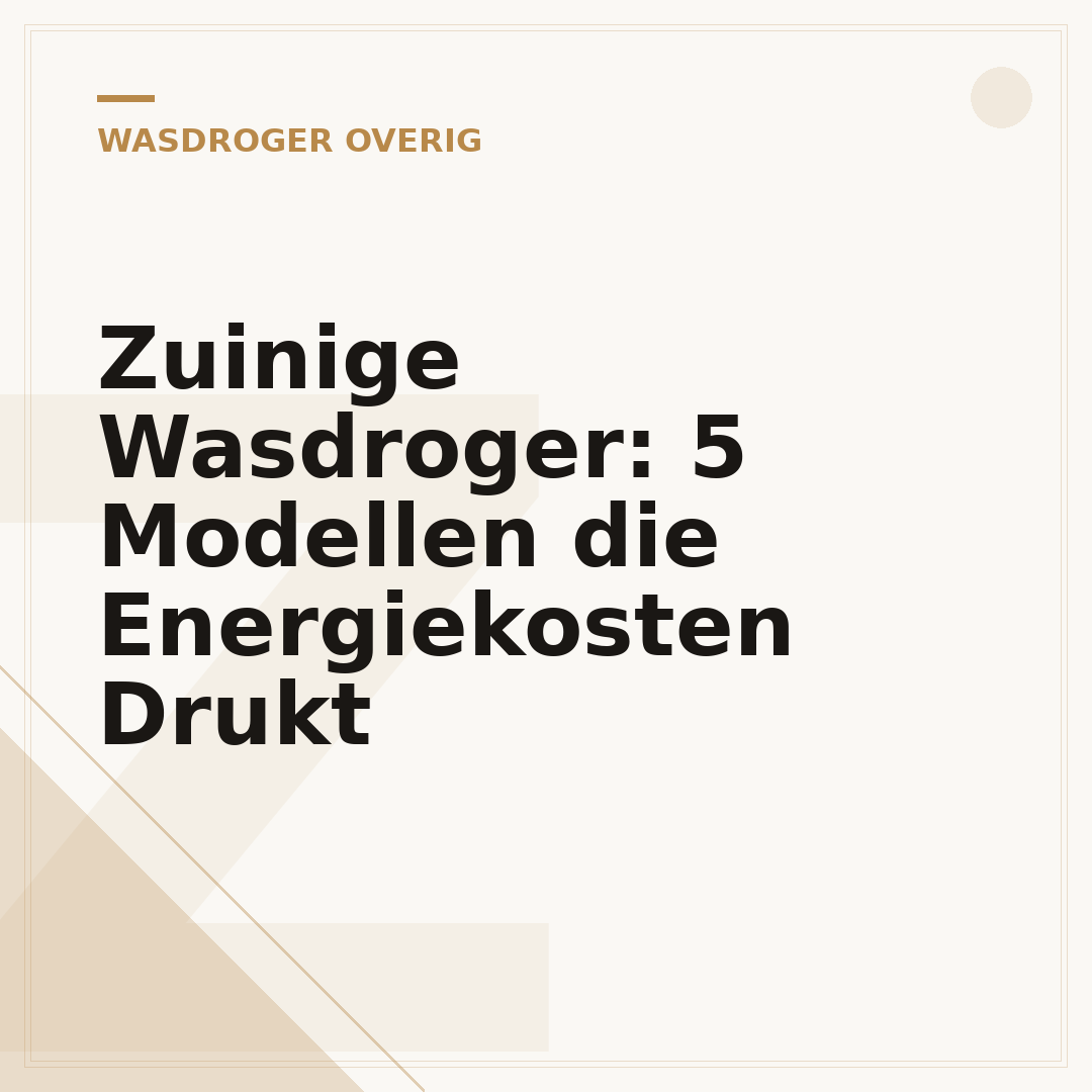 Zuinige Wasdroger: 5 Modellen die Energiekosten Drukt