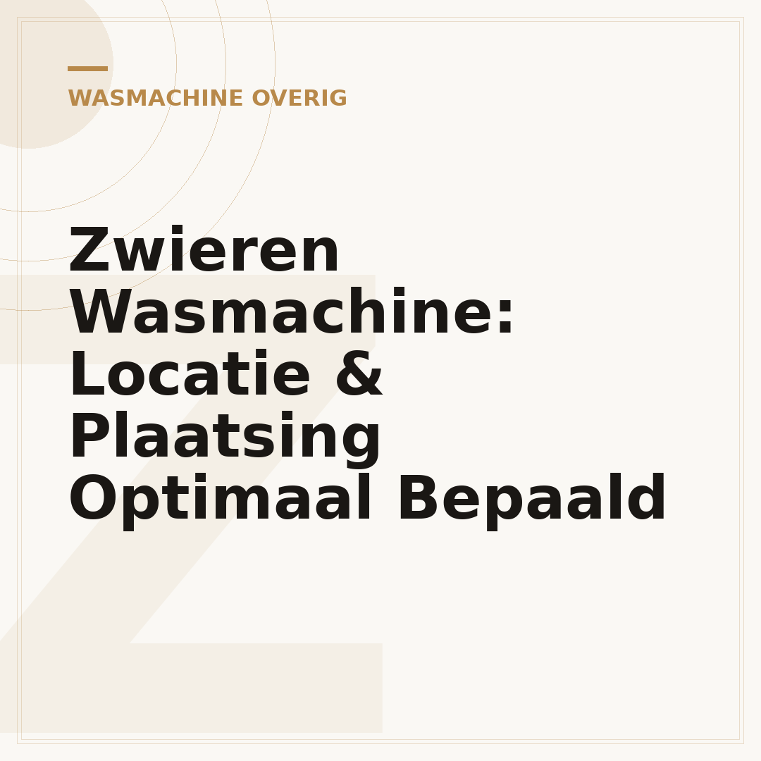 Zwieren Wasmachine: Locatie & Plaatsing Optimaal Bepaald